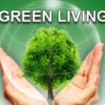 Green Living: Simple Steps to a Sustainable and Friendly Lifestyle