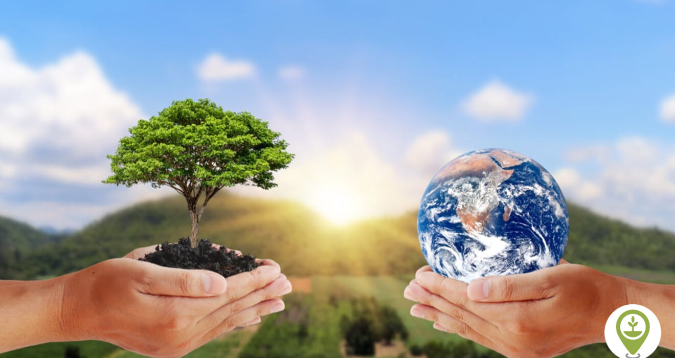 Protecting Nature: Why Conservation Matters for Our Future