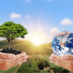 Protecting Nature: Why Conservation Matters for Our Future